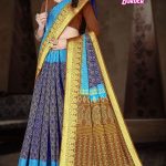 Full View of Jarkhan Border Cotton Saree with Golden Border