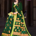 Model showcasing Gold Jhama Jham Border Green Cotton Saree with accessories