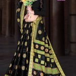 Model showcasing Gold Jhama Jham Border Pure Black Cotton Saree with accessories