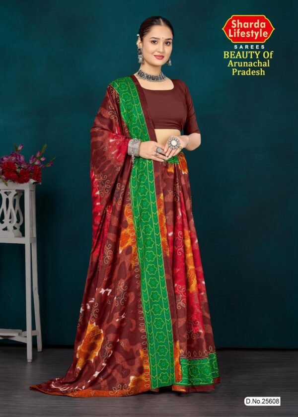 Beauty of Arunachal Pradesh Saree in red and orange with brown blouse