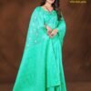 Boyanika Seafoam Green Saree with Rich Pallu